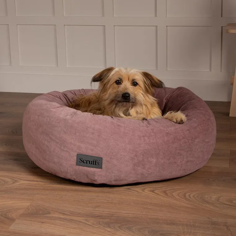 SCRUFFS Corbeille pour chien coloris rose Oslo Donut – Taille 2XL