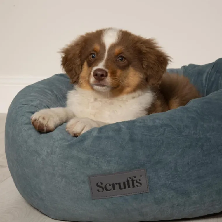 SCRUFFS Corbeille pour chien coloris vert Oslo Donut – Taille L