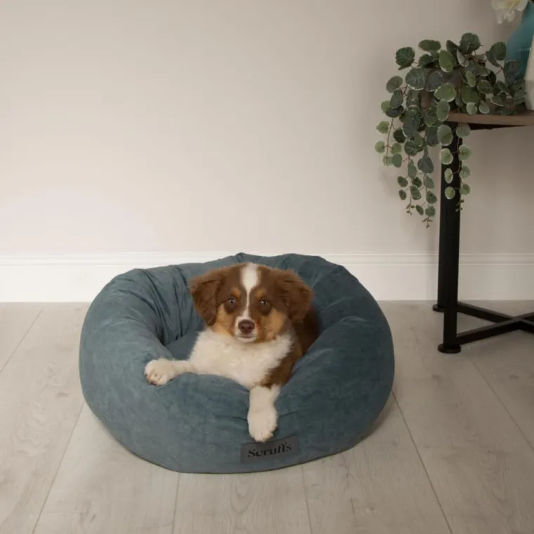 SCRUFFS Corbeille pour chien coloris vert Oslo Donut – Taille L