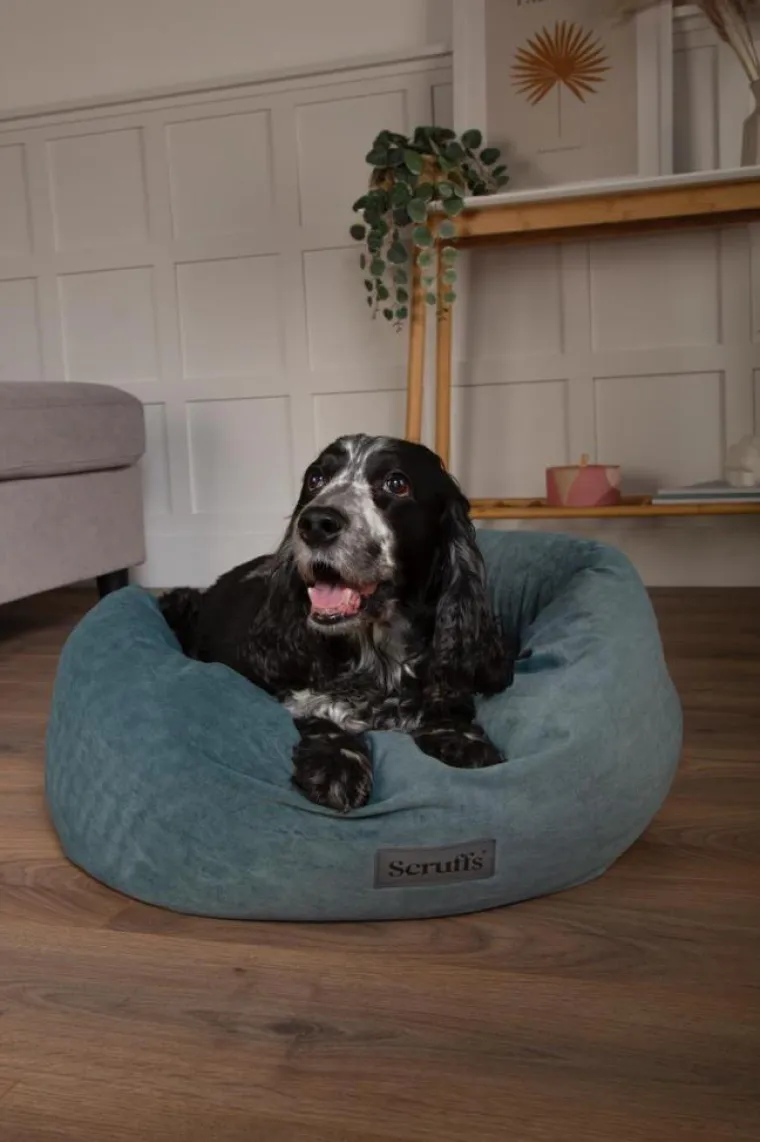SCRUFFS Corbeille pour chien coloris vert Oslo Donut – Taille L