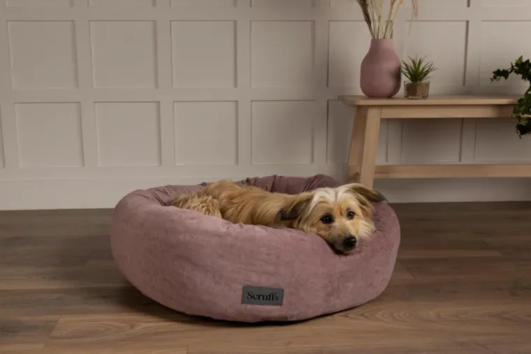 SCRUFFS Corbeille pour chien coloris rose Oslo Donut – Taille XL