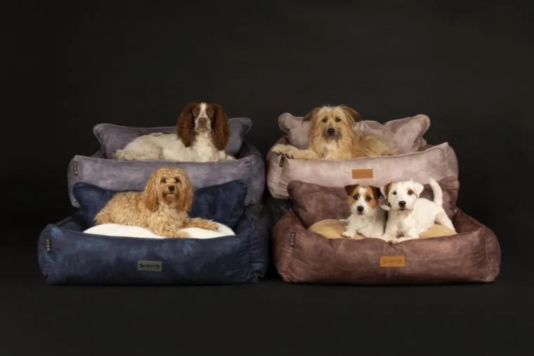 SCRUFFS Corbeille pour chien gris Kensington – Taille M