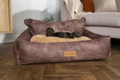 SCRUFFS Corbeille pour chien marron Kensington – Taille XL