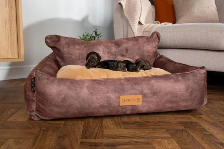 SCRUFFS Corbeille pour chien marron Kensington – Taille M