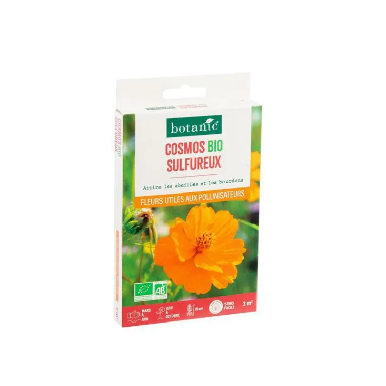 BOTANIC® Cosmos sulfureux bio - graines à semer (3 m²)