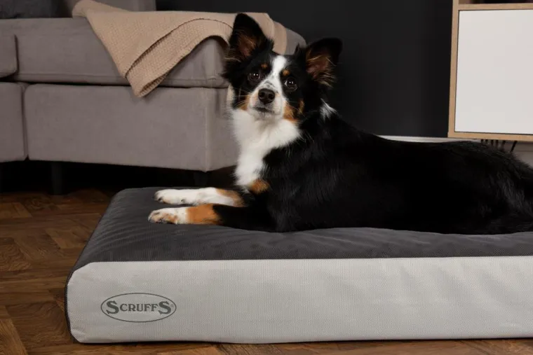 SCRUFFS Couchage orthopédique pour chien coloris gris ArmourDillo Orthopaedic - Taille XL 116 x 75 x 15 cm