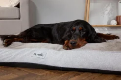 SCRUFFS Couchage orthopédique pour chien coloris marron Harvard - Taille L 100 x 70 x 12 cm