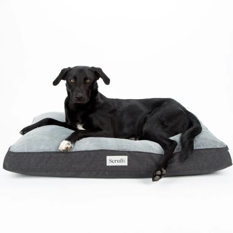 SCRUFFS Couchage orthopédique pour chien coloris gris Harvard - Taille L 100 x 70 x 12 cm