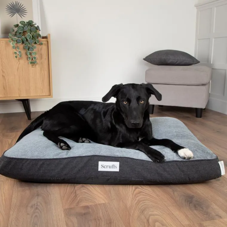 SCRUFFS Couchage orthopédique pour chien coloris gris Harvard - Taille L 100 x 70 x 12 cm