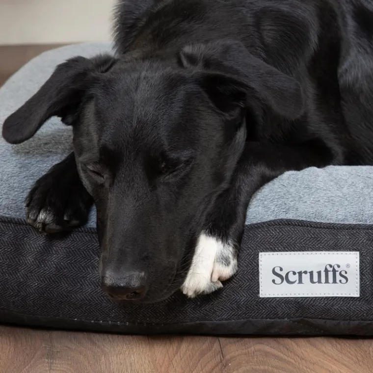 SCRUFFS Couchage orthopédique pour chien coloris gris Harvard - Taille XL 120 x 75 x 16 cm