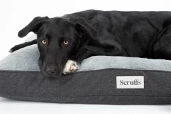SCRUFFS Couchage orthopédique pour chien coloris gris Harvard - Taille XL 120 x 75 x 16 cm