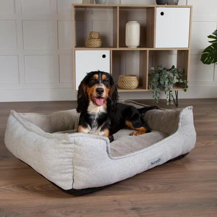 SCRUFFS Couchage orthopédique pour chien coloris marron Harvard - Taille XL 90 x 70 x 20 cm