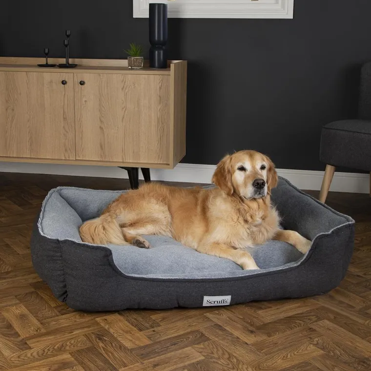 SCRUFFS Couchage orthopédique pour chien coloris gris Harvard - Taille XL 90 x 70 x 20 cm