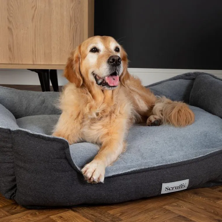 SCRUFFS Couchage orthopédique pour chien coloris gris Harvard - Taille XL 90 x 70 x 20 cm