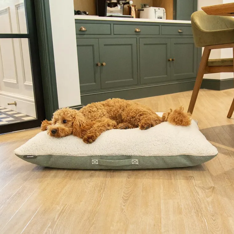 SCRUFFS Couchage pour chien coloris vert coussin Eco Eden - Taille M 80 x 60 cm