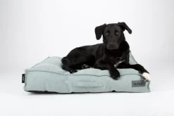 SCRUFFS Couchage pour chien coloris vert coussin Seattle - Taille L 100 x 70 x 14 cm