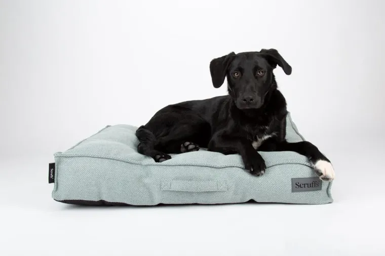 SCRUFFS Couchage pour chien coloris vert coussin Seattle - Taille L 100 x 70 x 14 cm