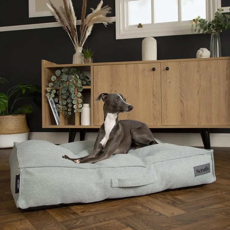SCRUFFS Couchage pour chien coloris vert coussin Seattle - Taille L 100 x 70 x 14 cm