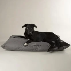 SCRUFFS Couchage pour chien coloris gris coussin imperméable Expédition - Taille L 100 x 70 cm