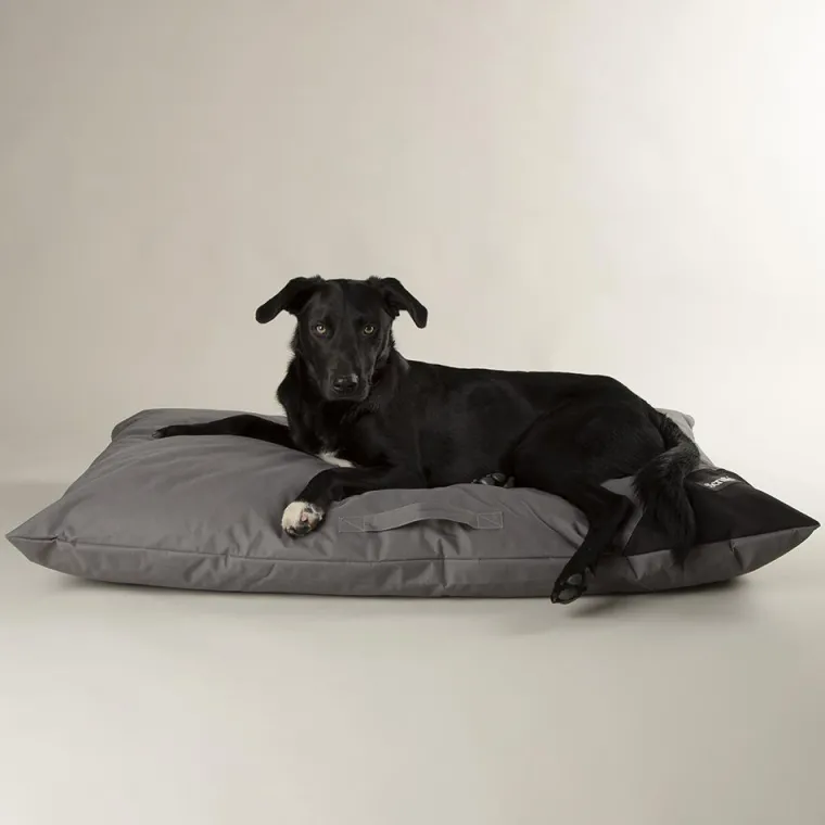 SCRUFFS Couchage pour chien coloris gris coussin imperméable Expédition - Taille L 100 x 70 cm