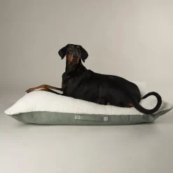 SCRUFFS Couchage pour chien coloris vert coussin Eco Eden - Taille L 100 x 70 cm