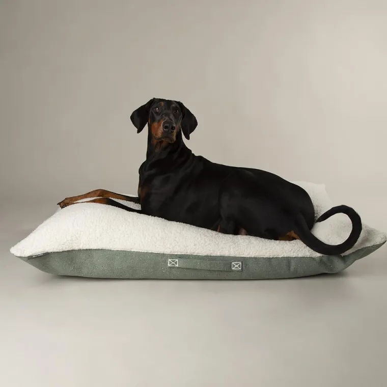 SCRUFFS Couchage pour chien coloris vert coussin Eco Eden - Taille L 100 x 70 cm