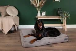 SCRUFFS Couchage pour chien coloris gris coussin Seattle - Taille L 100 x 70 x 14 cm