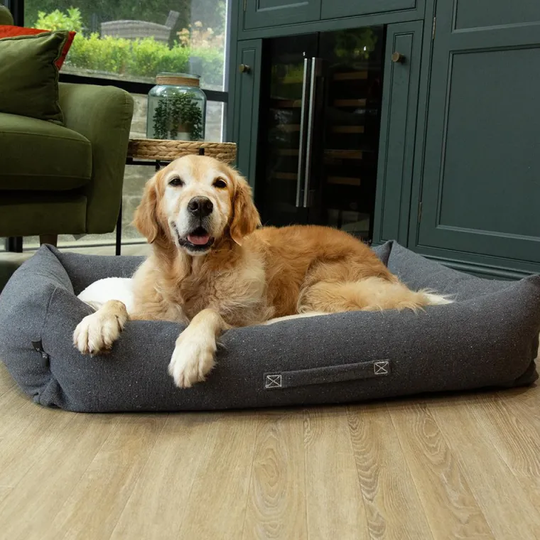 SCRUFFS Couchage pour chien coloris gris corbeille Eco Eden - Taille XL 90 x 70 cm