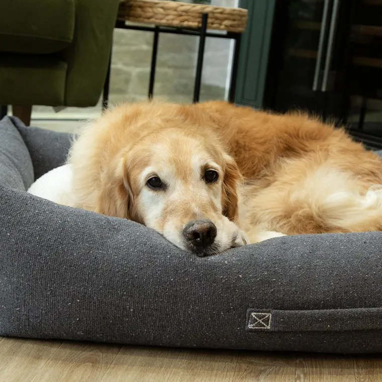 SCRUFFS Couchage pour chien coloris gris corbeille Eco Eden - Taille XL 90 x 70 cm