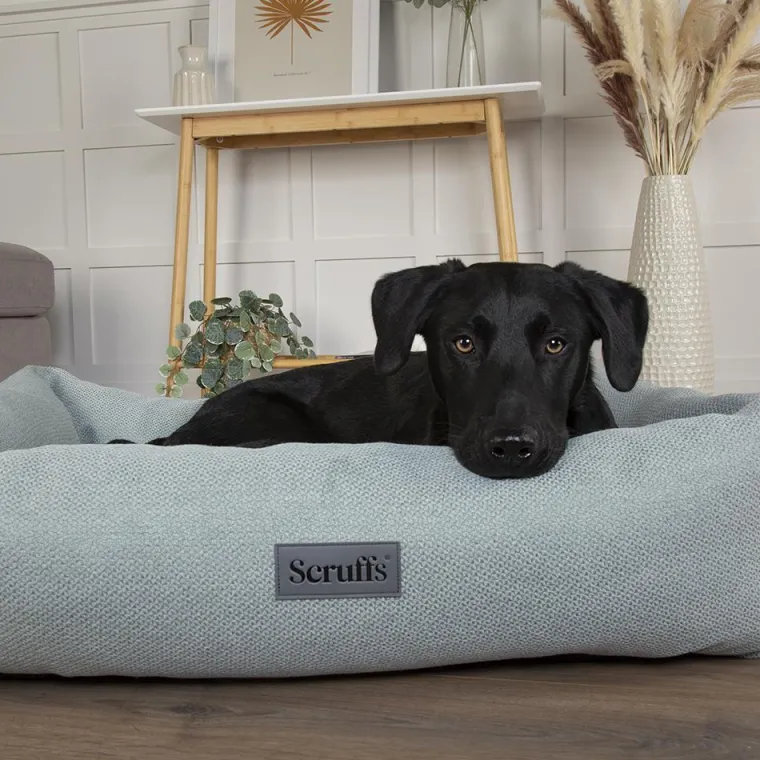 SCRUFFS Couchage pour chien coloris vert corbeille Ellen - Taille XL 90 x 70 x 18 cm