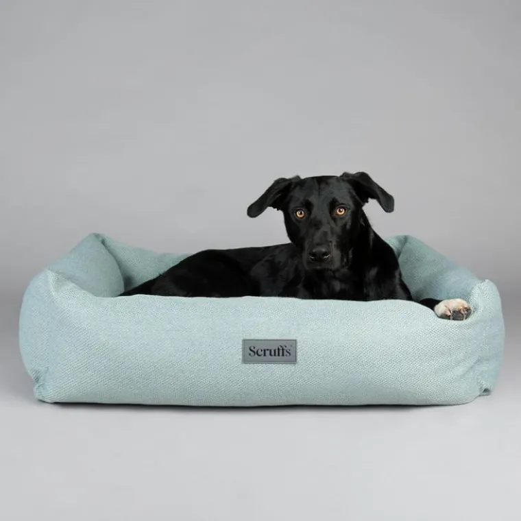 SCRUFFS Couchage pour chien coloris vert corbeille Ellen - Taille XL 90 x 70 x 18 cm