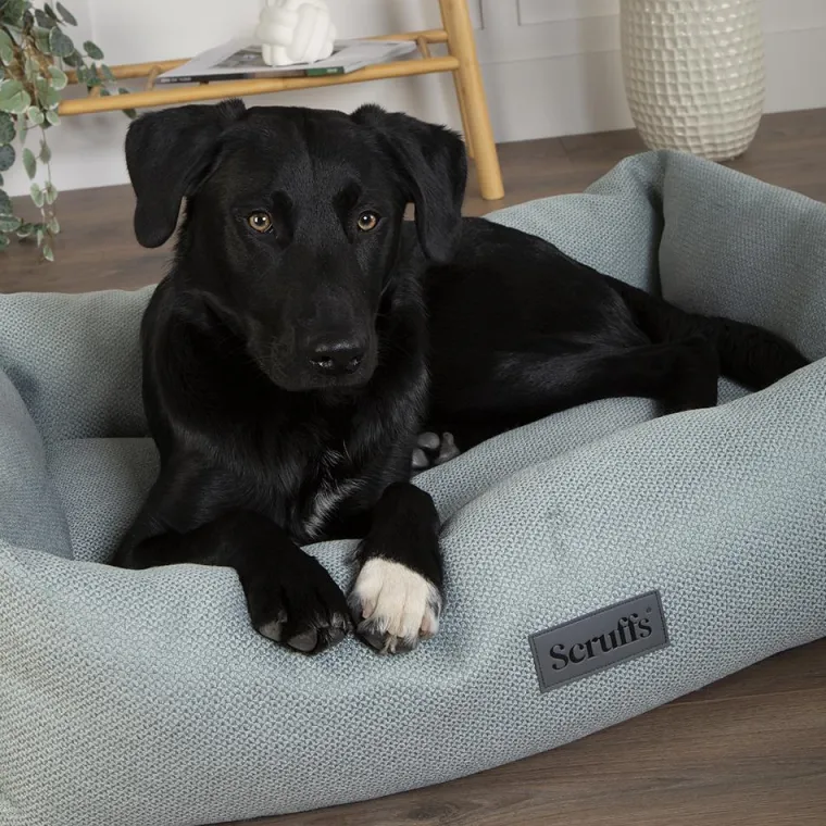 SCRUFFS Couchage pour chien coloris vert corbeille Ellen - Taille XL 90 x 70 x 18 cm