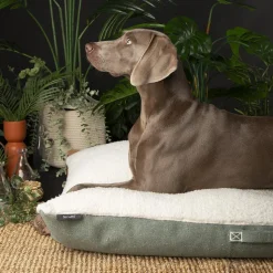 SCRUFFS Couchage pour chien coloris vert coussin Eco Eden - Taille XL 120 x 75 cm