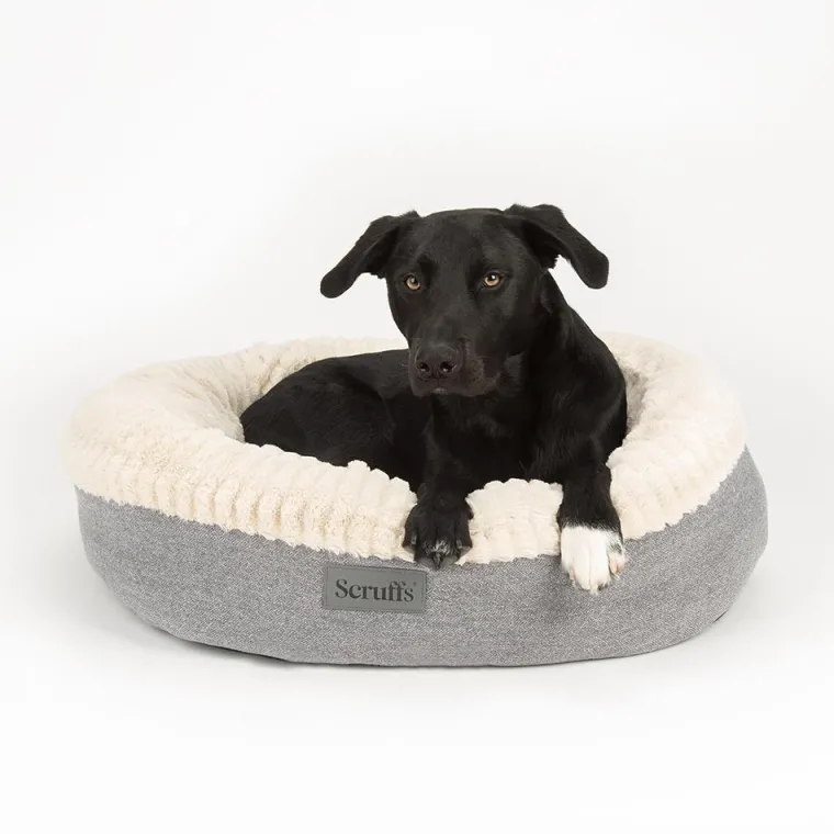 SCRUFFS Couchage pour chien coloris gris corbeille ronde Ellen - Taille XL Ø 75 cm