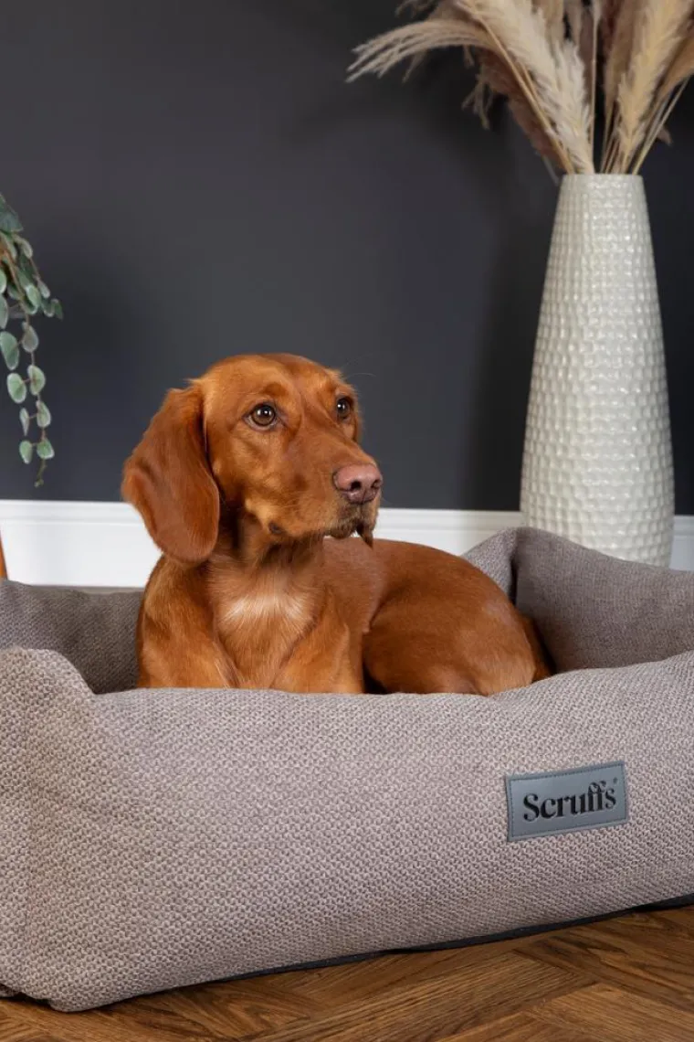 SCRUFFS Couchage pour chien coloris gris corbeille Ellen - Taille XL 90 x 70 x 18 cm