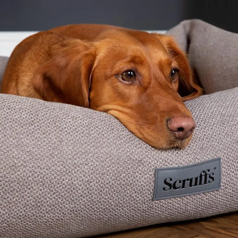 SCRUFFS Couchage pour chien coloris gris corbeille Ellen - Taille M 60 x 50 x 16 cm