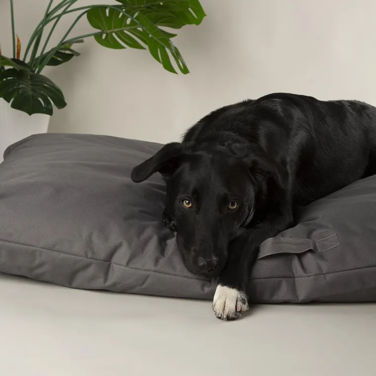 SCRUFFS Couchage pour chien coloris gris coussin imperméable Expédition - Taille XXL 140 x 100 cm