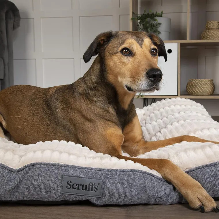 SCRUFFS Couchage pour chien coloris gris coussin Ellen - Taille M 82 x 58 cm