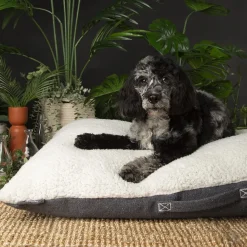 SCRUFFS Couchage pour chien coloris gris coussin Eco Eden - Taille M 80 x 60 cm