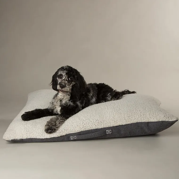 SCRUFFS Couchage pour chien coloris gris coussin Eco Eden - Taille M 80 x 60 cm
