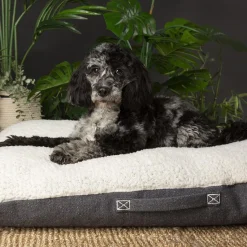 SCRUFFS Couchage pour chien coloris gris coussin Eco Eden - Taille M 80 x 60 cm