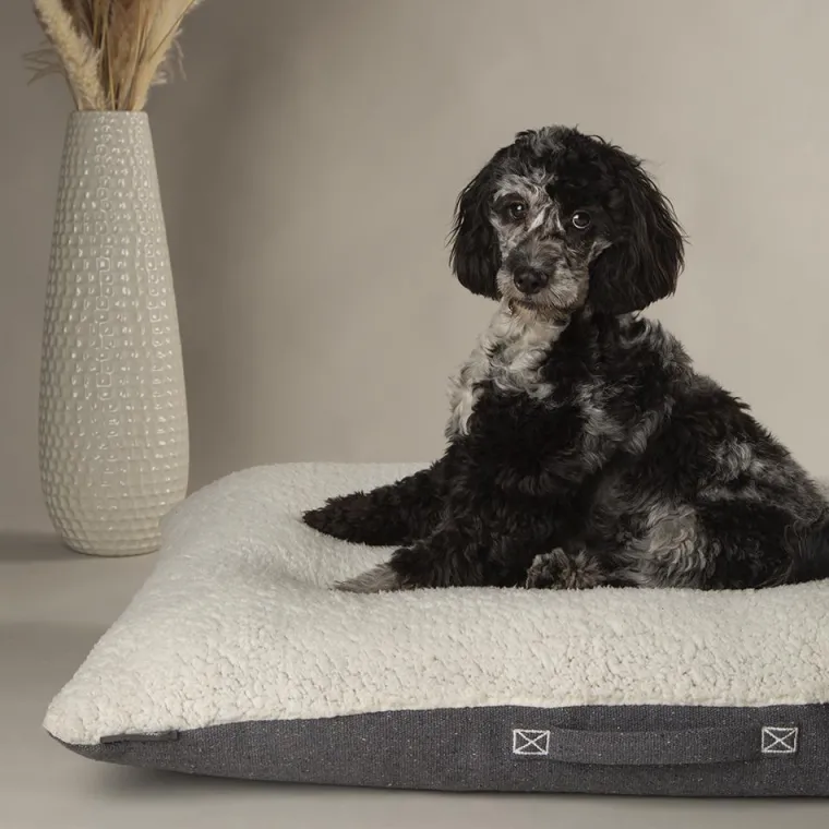 SCRUFFS Couchage pour chien coloris gris coussin Eco Eden - Taille M 80 x 60 cm