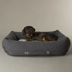 SCRUFFS Couchage pour chien coloris gris corbeille Eco Eden - Taille M 60 x 50 cm