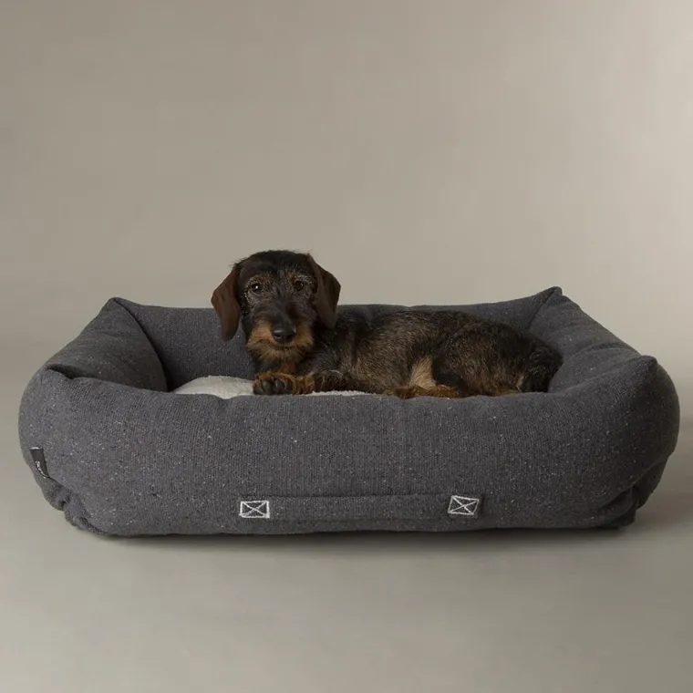 SCRUFFS Couchage pour chien coloris gris corbeille Eco Eden - Taille M 60 x 50 cm