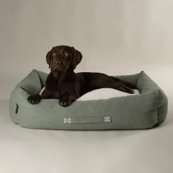 SCRUFFS Couchage pour chien coloris vert corbeille Eco Eden - Taille L 75 x 60 cm