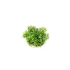 LABEO Coupe gazon vert en plastique Ø 9 cm