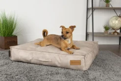 SCRUFFS Coussin pour chien beige Kensington – Taille M