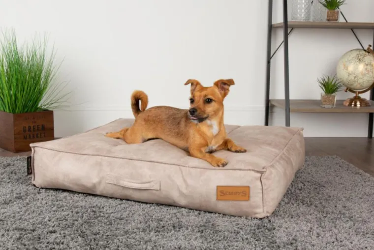 SCRUFFS Coussin pour chien beige Kensington – Taille M