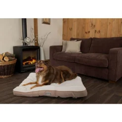 SCRUFFS Coussin pour chien beige Ellen - Taille L