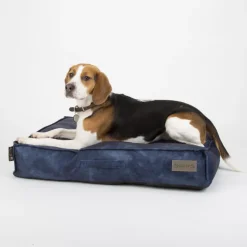 SCRUFFS Coussin pour chien bleu Kensington – Taille M